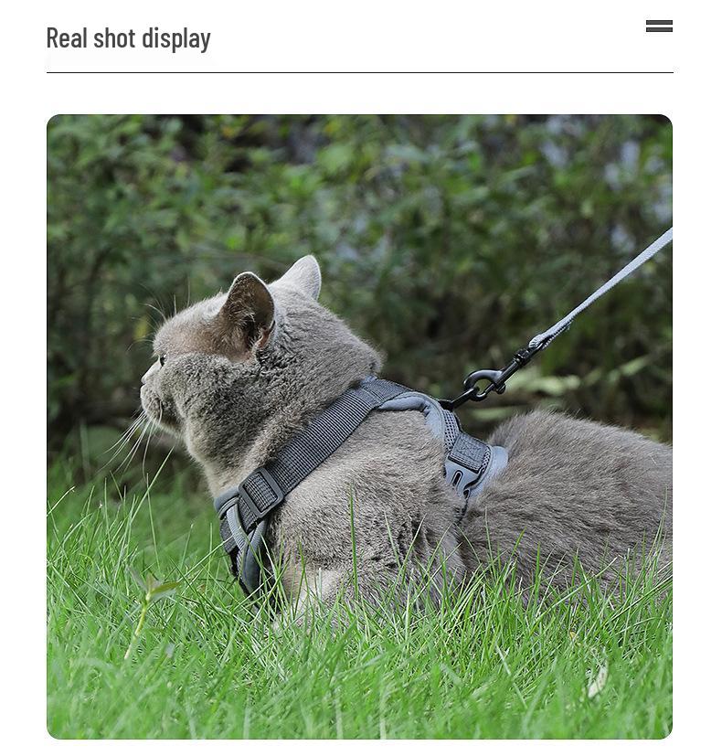 Reflective Vest-Style Cat Leash & Breathable Harness for Small/Medium Pets