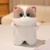 1Pc 20CM Kawaii Cat Plush Doll Toy Cartoon Ragdoll Cat Lucky Cat Siamese Cat with Accessories Stuffed Soft Animal Doll Gifts