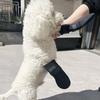 Dog Paw Cover Protective Ankle Foot Anti-scratch Outdoor Sports Large Medium and Small Diving Cloth Dog Shoe Cover Pet Supplies