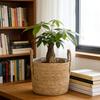 Juran Nordic Rattan Woven Flower Basket: Large Decorative Floor Pot for Fiddle-leaf Fig and Green Plants.
