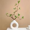 Nordic Style Donut Vase - Creative Home Decor for Living Room & Dining Table, New Customer 0.01 Free Shipping Offer