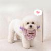 Pet Dog Wet Wipes, Cat Bib, Headband, Cute Decoration, Small and Medium-sized Dog Mouthguard To Prevent Drooling, Mouth Cover