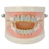 G-017-1 Hot Selling Micro Braces Fangs Gold Plated Vampire Teeth Grillz Factory Direct Sale for Anniversary