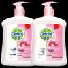 Dettol Healthy Antibacterial Hand Wash - Floral & Moisturizing (2x450g)