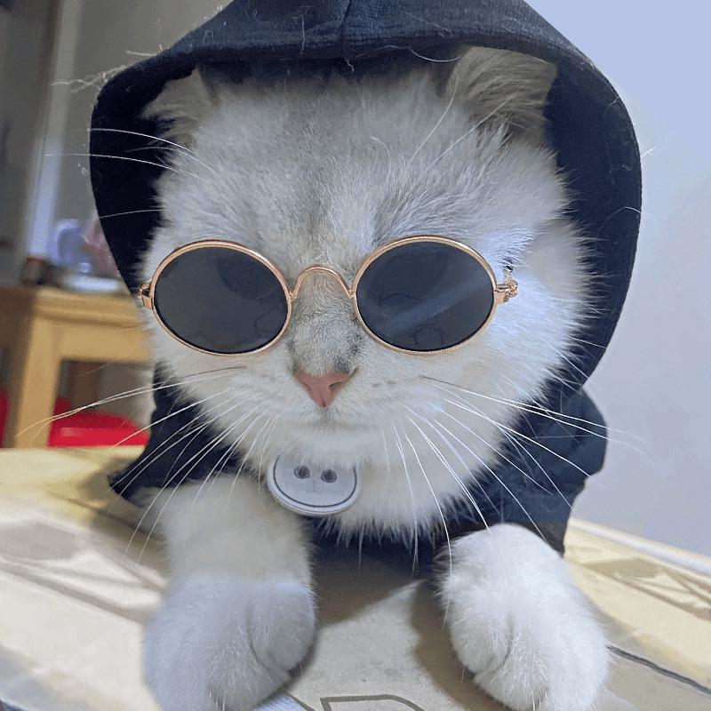 Occhiali da Sole Hip-Hop per Animali Domestici: Occhiali alla Moda e Divertenti per Gatti e Cani