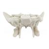 Human Skeleton Anatomical Model Temporal Bone Model Teaching Aid Human Ethmoid Bone Model for Science Class