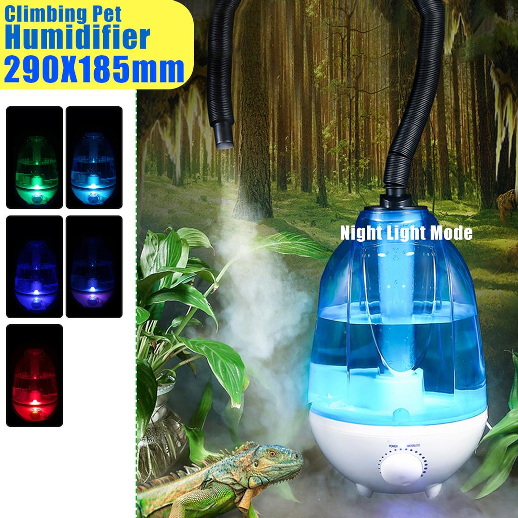 lizard humidifier
