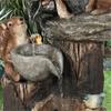 Solar  Animals Family Bathing Terrace Resin Decoration Luminous Decoration