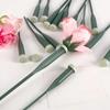 Latest Models 60 PCS Floral Water Tubes with Rubber Caps Fresh Flower Water Tubes for Garden Bouquet Stem Supplies Florist