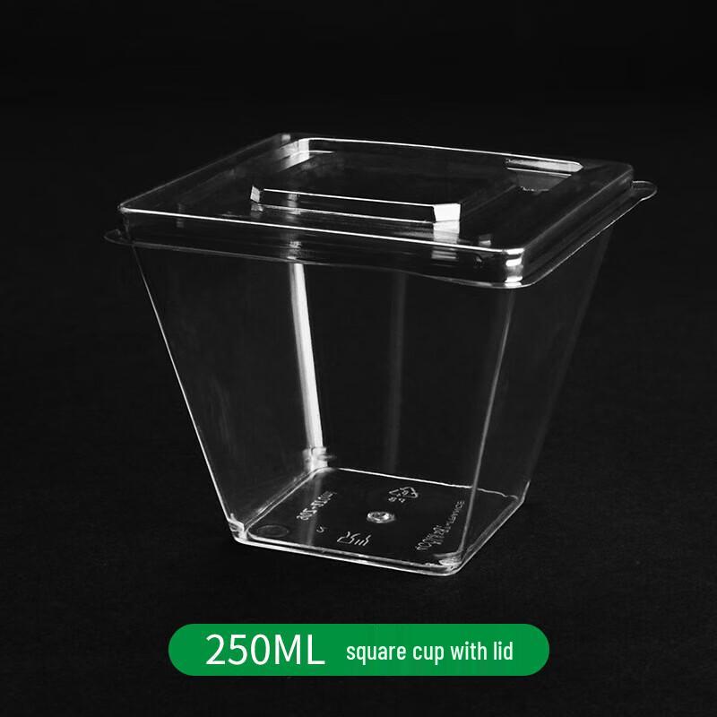 Disposable Plastic Dessert Cups & Dishes