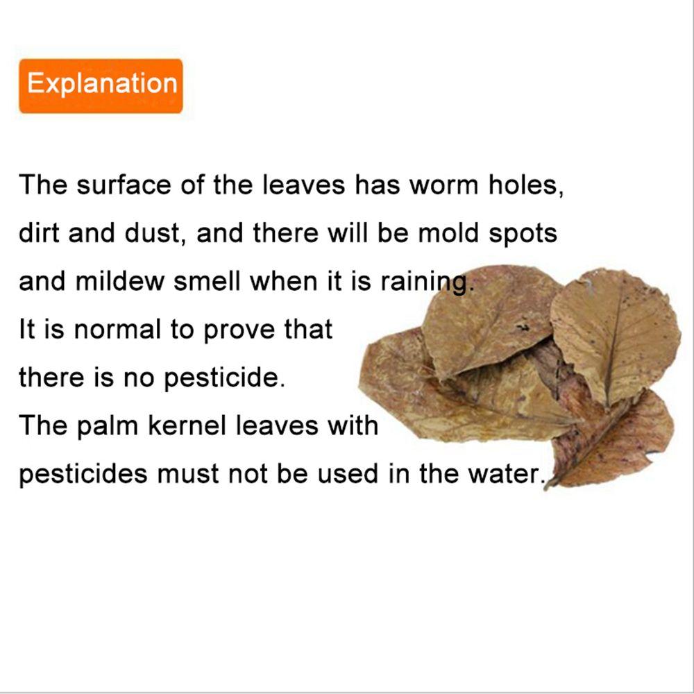 Fish Cleaning Acid Effect Fish Treatment Terminalia Leaves Aquarium Tank Decor Terminalia Leaves