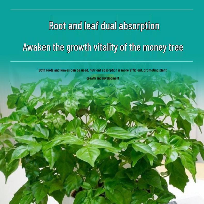 Concentrated Nutrient Solution for Indoor Green Plants & Flowers