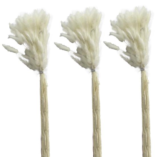 1 Set Dried Flower Bouquet Romantic Easter Celebration Bunny Tail Household Products