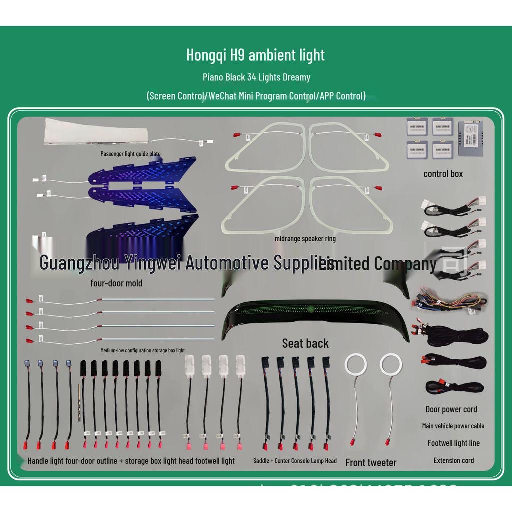 256-Color Dynamic Ambient Light Kit for Hongqi H9