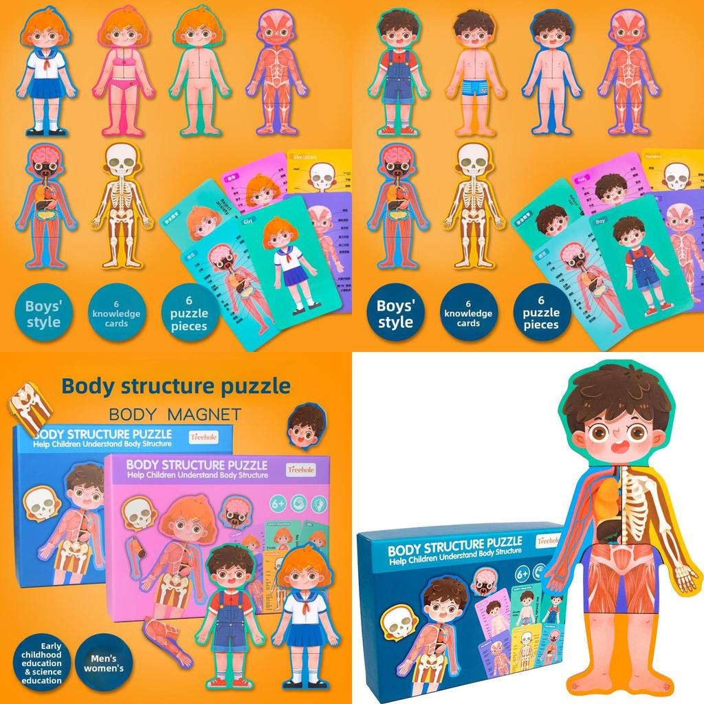 Wooden Body Structure Puzzle For Kids Educational Learning Toy For Boys And Girls