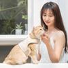 Cat Dog Leash Four Seasons Grid Breathable Vest Type Anti-break Free Pet Chest Strap Walking Dog Leash Cat Leash Chain