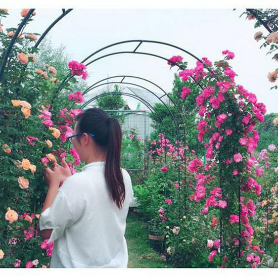 Elegancki kuty żelazny łukowy stojak na kwiaty do róż pnących