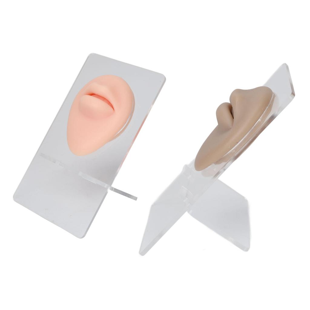 2Pcs Silicone Lip Model With Display Stand Simulated 3D Thickened Lip Piercing Practice Model