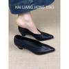 Pointed Single Shoes Women's Shallow Mouth Versatile Temperament Commuter Shoes Retro Black Thick Heel High Heels
