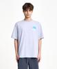 SUPRA Mountain Back Graphic Short Sleeve T-Shirt (Gray)