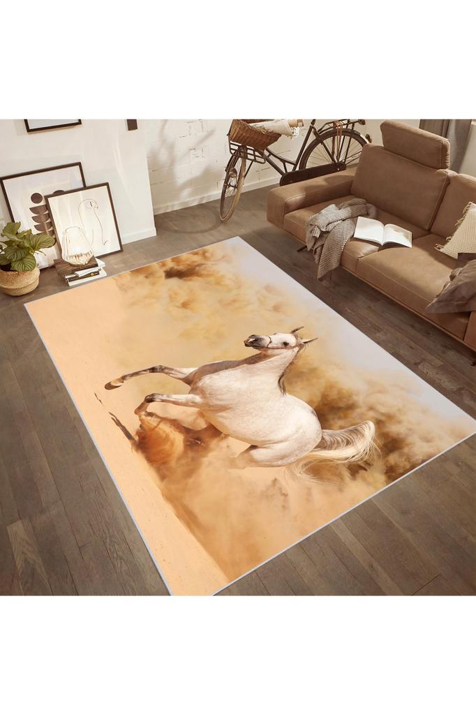 Rovigo Home Waschbarer bedruckter Teppich RGHM1896-SD097