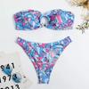 New three-point bikini print sexy babes two-piece swimsuit beach hot spring high-waisted swimsuit