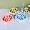 Qi'e Anti-Choking Pet Slow Feeder Bowl