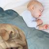 Shar Pei Puppy Throw Blanket Thermals For Travel Moving Decorative Sofa Throw Blankets
