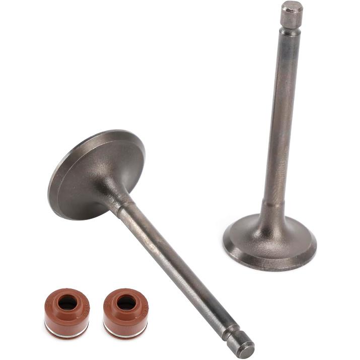 Intake & Exhaust Valve Kit for Yamaha TTR125 TTR125E TTR125L TTR125LE XT125 YBR125 YFA1 Breeze YFM125 Grizzly - Replaces 5VL-E2111-00 5HH-E2121-00 -