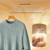 Men's 100% Merino Wool Thick Round Neck Sweater