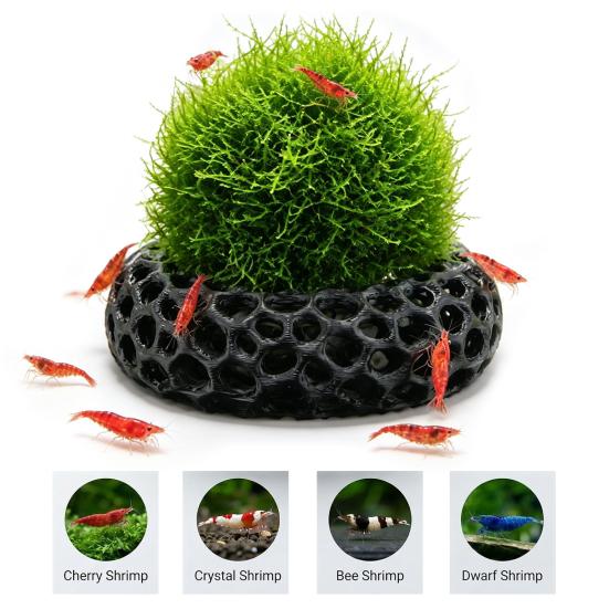 Neocaridina Breeding Cave 2Pcs Shrimp Caves for Plants, Aquarium Round Hideouts, Cherry & Dwarf Decorations Hides Moss Ferns And Anubias, Tank