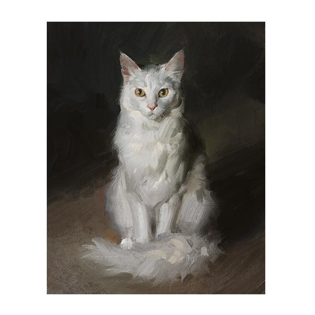 

Милые кошки, забавные постеры с домашними животными, настенные художественные принты на холсте, современные портретные картины с животными для гостиной, детская комната, домашний декор, фотографии 30x40 No Frame белый