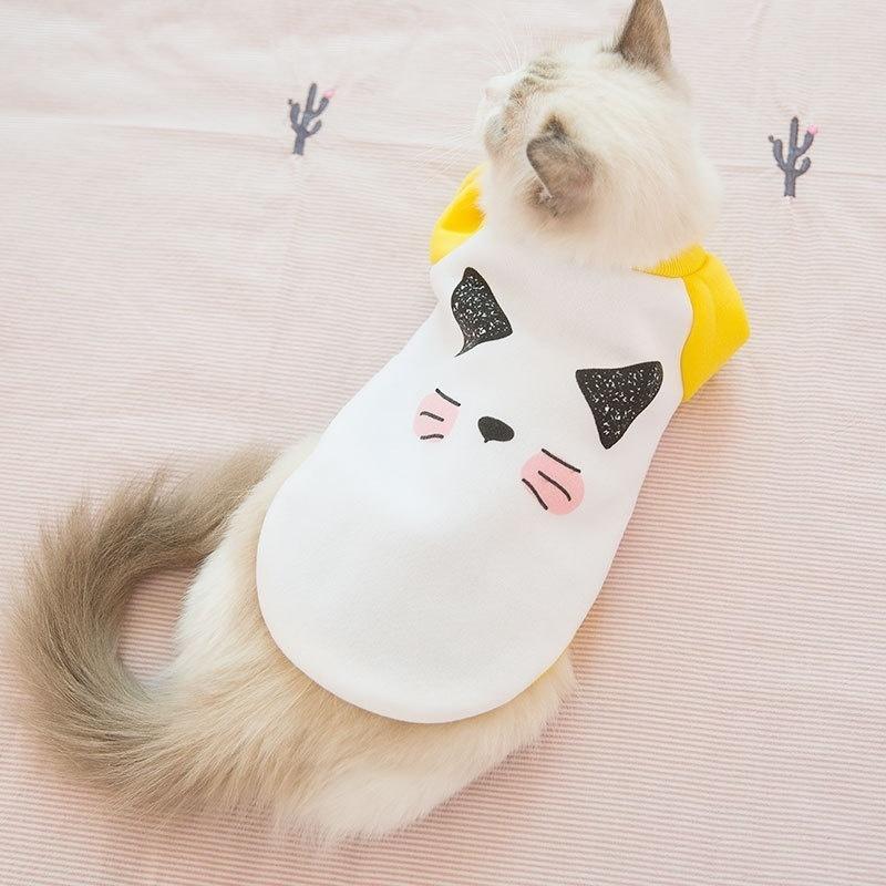 Autumn/Winter Cat Clothing Winter Warm and Tide Brand Cute English Short Silver Gradient Blue/White Autumn/Winter Sweatshirt