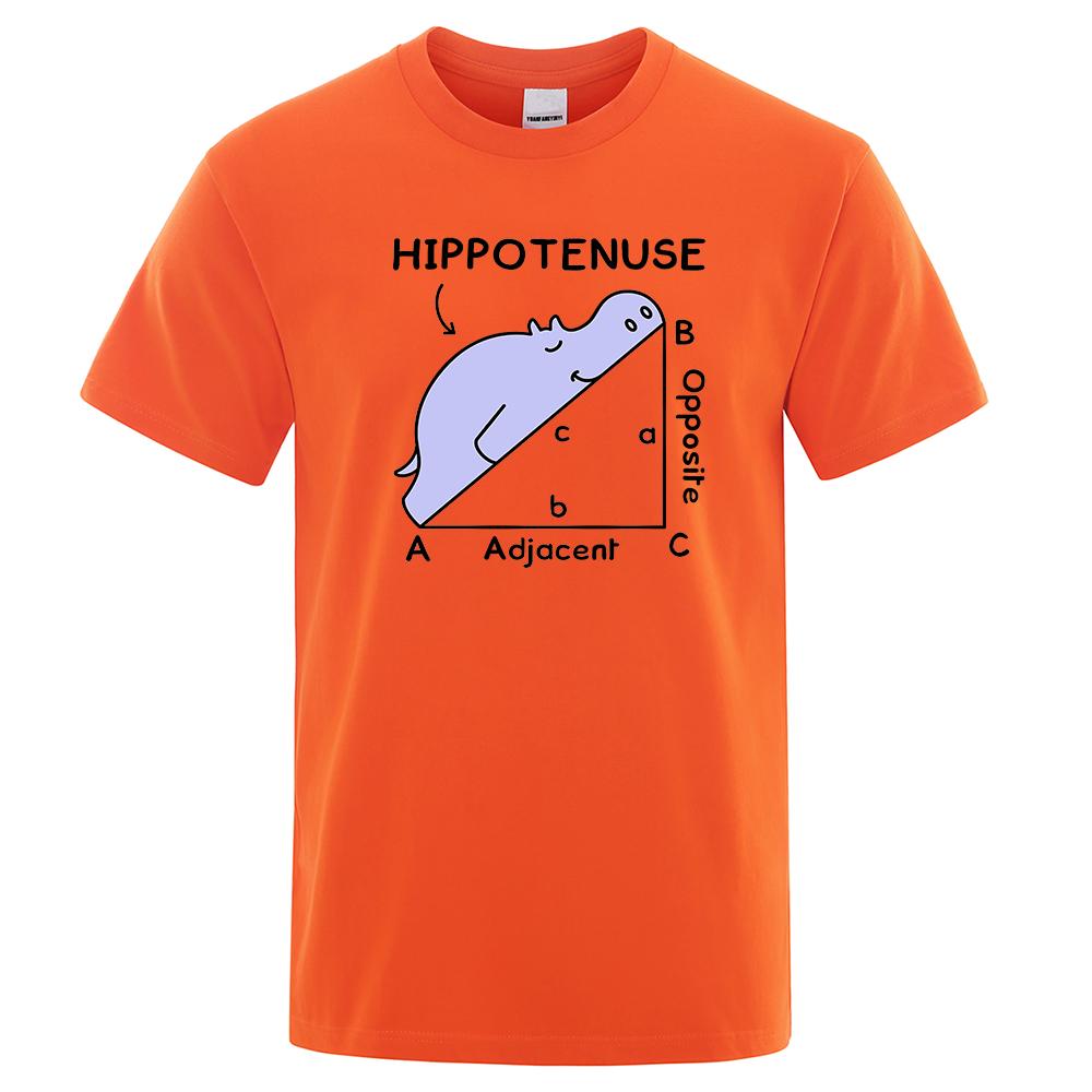 

Мужские футболки с забавным принтом Hippotenuse, летние хлопковые милые уличные футболки с тригонометрическими функциями, мужская футболка S