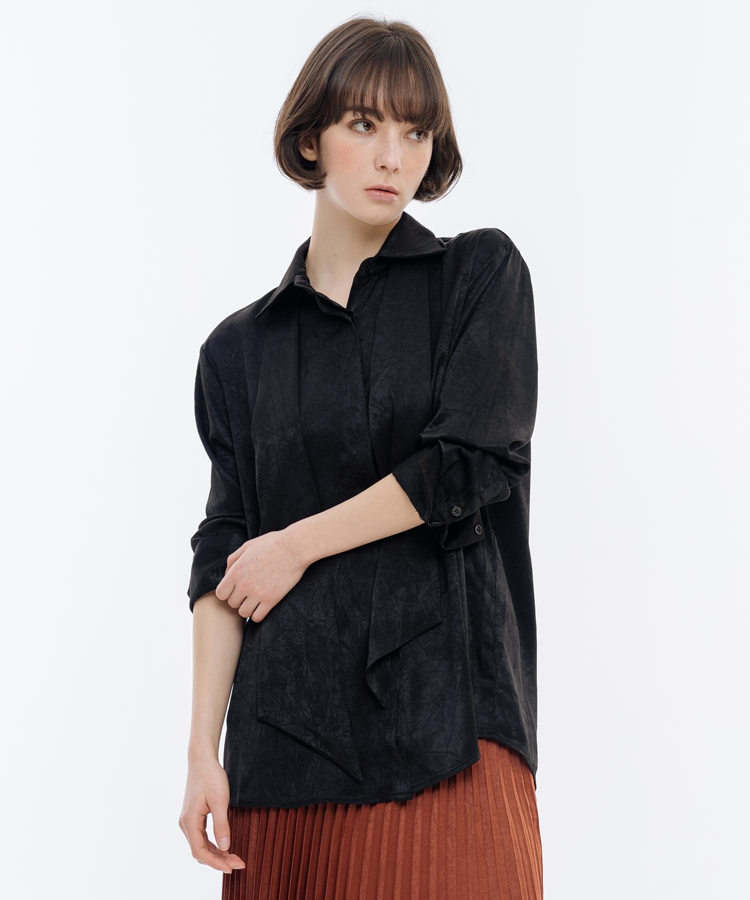 Ish Wrinkle-Free Easy Care Silky Basic Shirt (Black) Black/Free