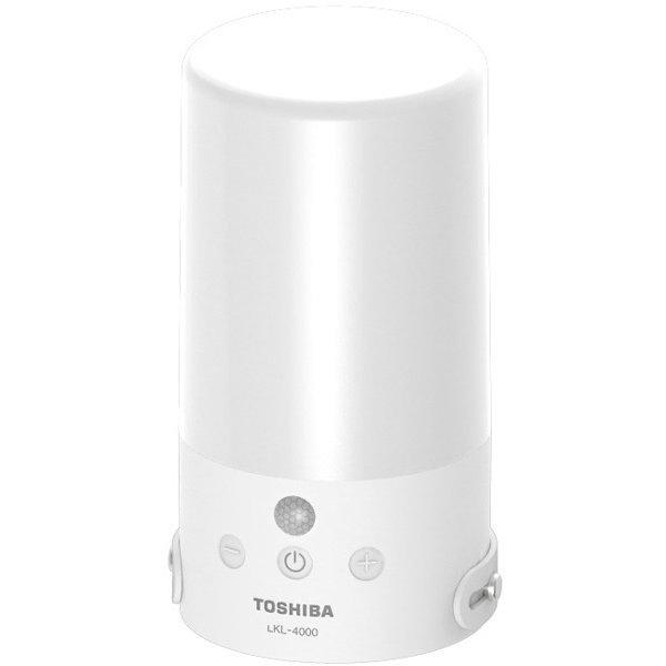 

Toshiba Lkl 4000 Вт [светодиодный фонарь белый]