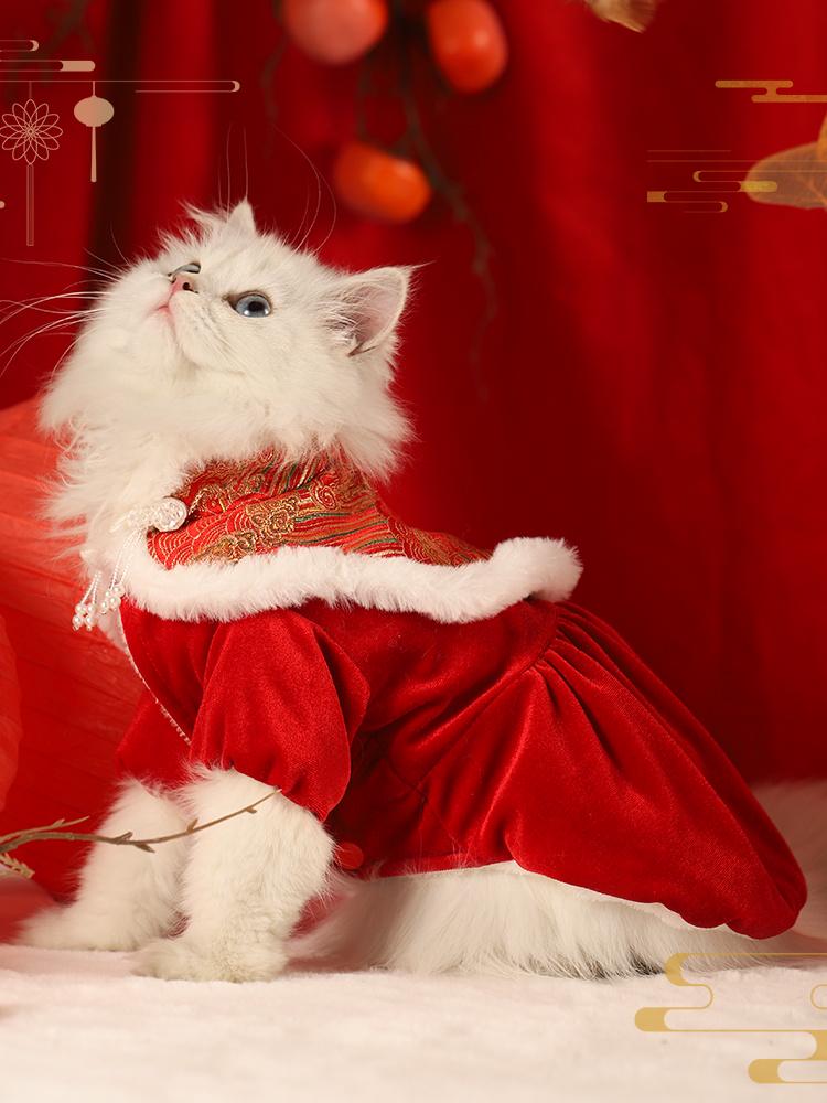 Festive Winter Cat & Dog Outfit: Warm Kitten Skirt for Autumn & New Year