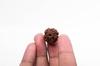 6-Mukhi Nepalesischer Rudraksha-Samen | Zertifizierter Echter Rudraksha für Spirituelles Wachstum | Echtes Heiliges Korn für Meditation & Heilung von Navratan Gems