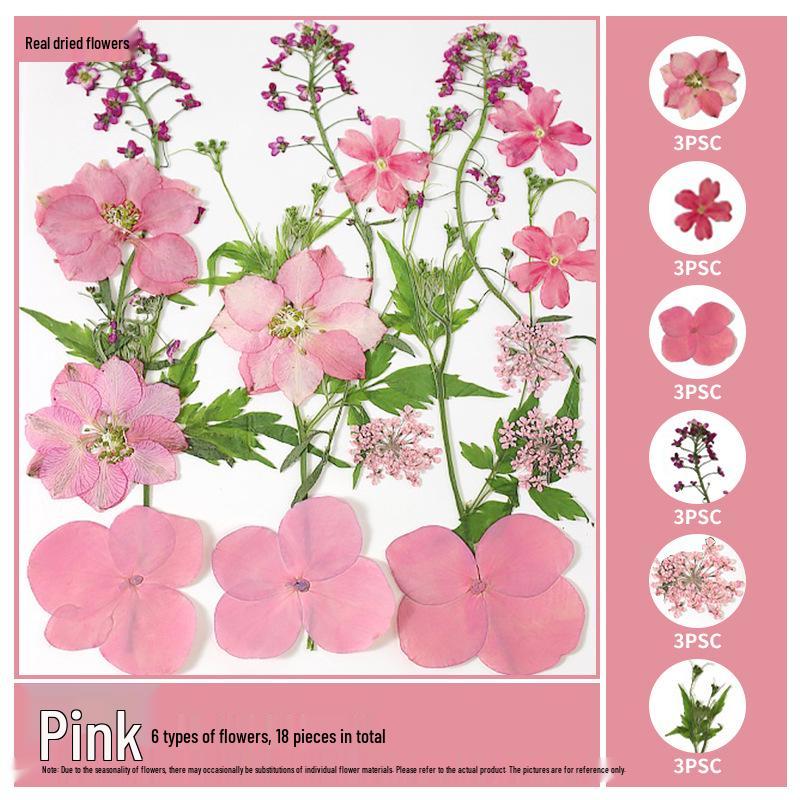 Handmade Resin Pressed Flower Bookmark DIY Kit: Transparent Specimen Stickers & Dried Flowers for Students