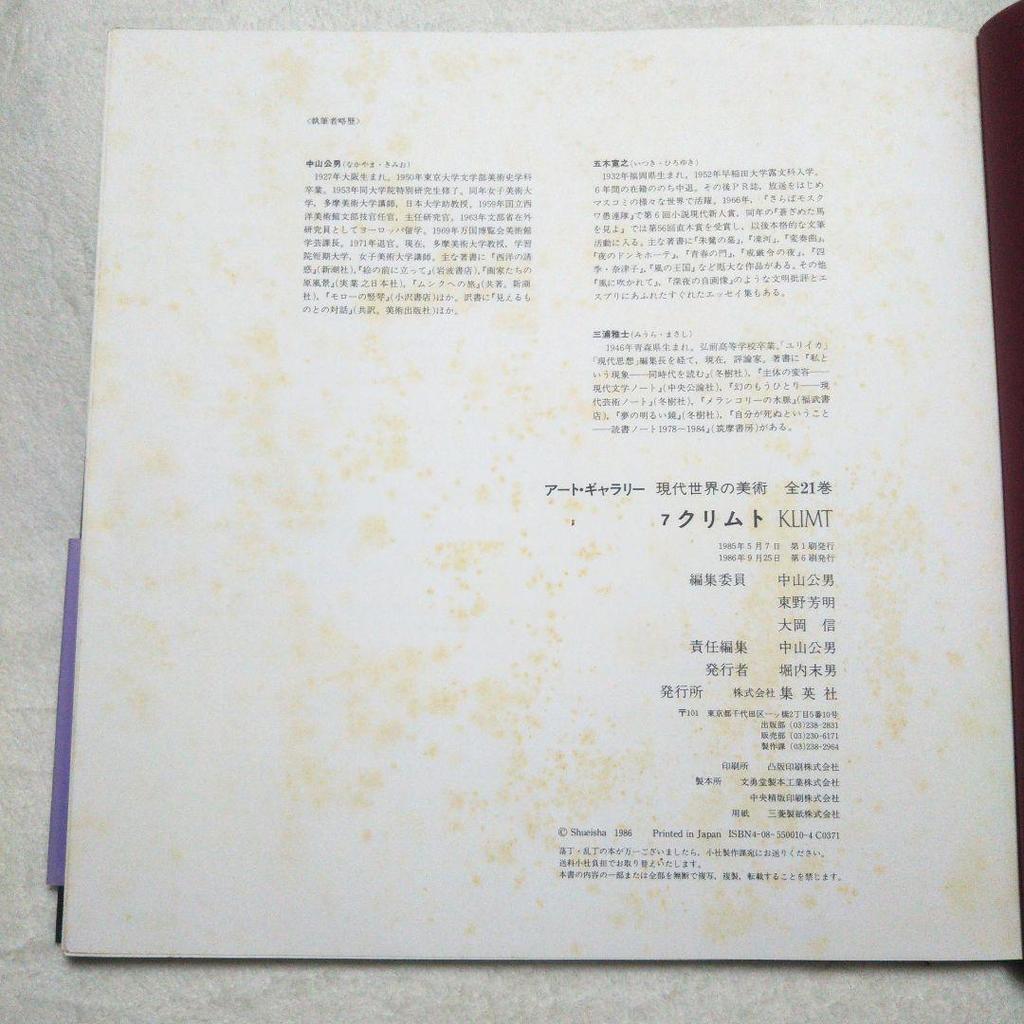 [USED] Klimt Art Gallery & Klimt Book Set