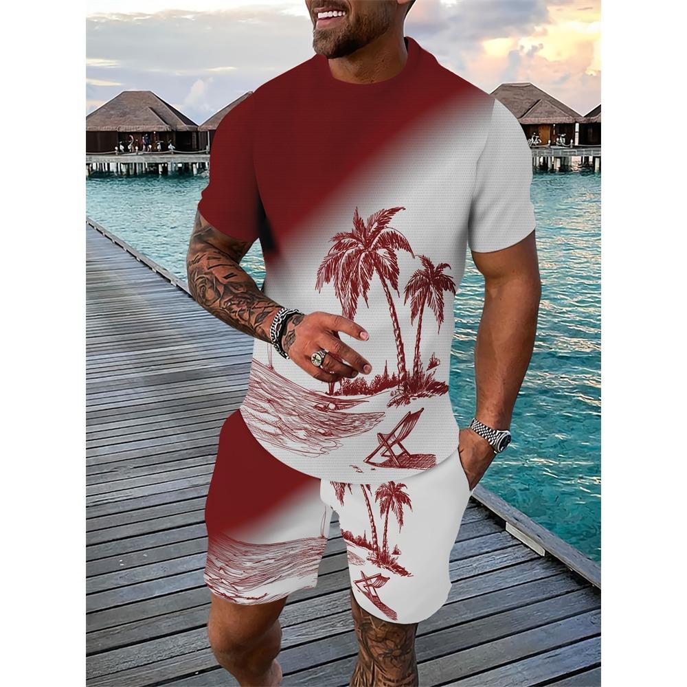 Men's Set Relaxed Fit Short Sleeve Shorts Set Men's Sportswear  Casual Wear Summer Casual Suit