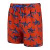 Regatta Boys Skander Shark Swim Shorts
