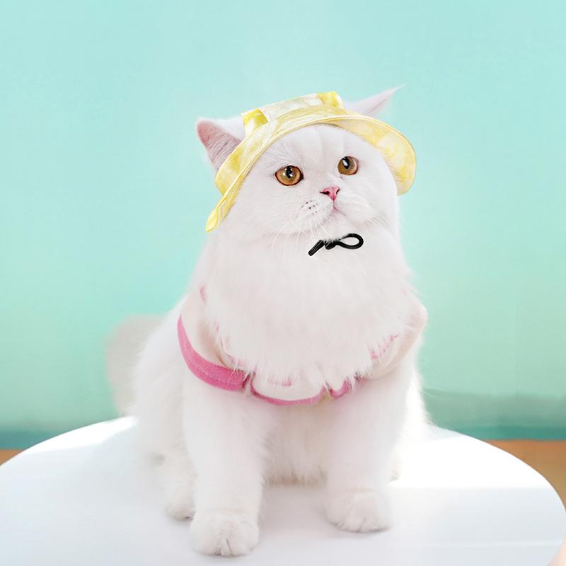 BOOTEELY Hot Selling Summer Pet Sun hat Comfortable and Breathable Pet Bucker Hat for Dog