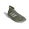 Adidas Predator 19+ Fg Legacy Green EF8204