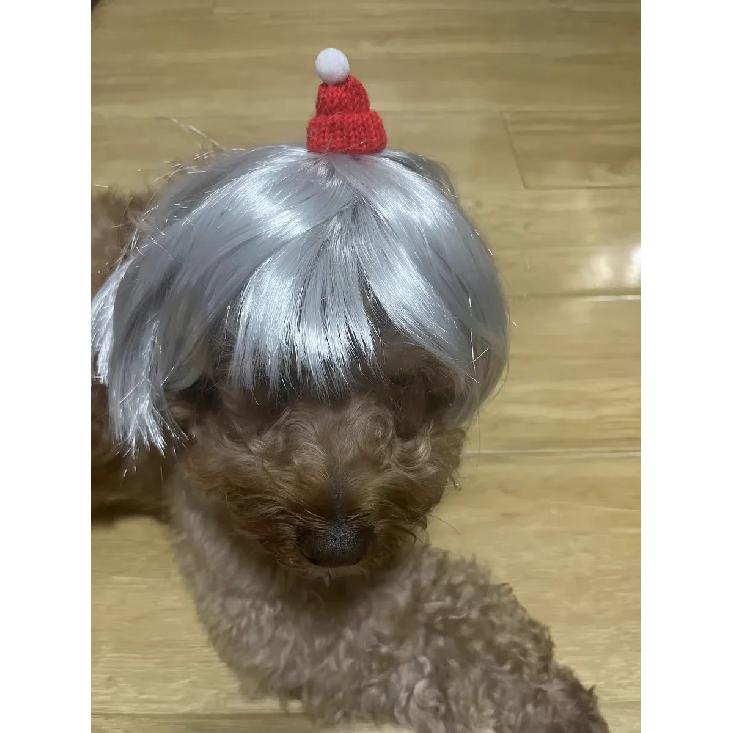 Pet Wig Dog Wig Pet Supplies Halloween Pet Accessories Curly Hair Straight Hair Cat Wig It Can Be DIY Trimmed