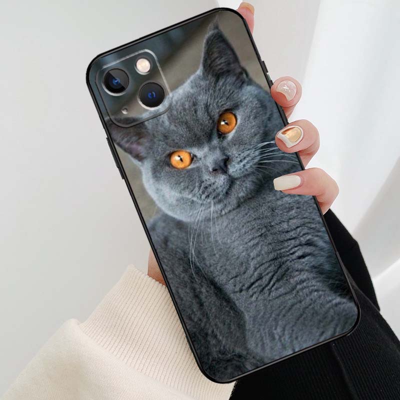 Beautiful Grey British Shorthair Cat Case For iPhone 12 13 Mini 13 11 12 14 Pro Max XS X XR 6S 7 8 Plus SE 2020 Silicone Cover