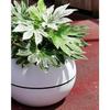 Bac à fleurs rond RIVIERA GRANIT BOULE - Plastique - Diamètre 50 cm - Blanc