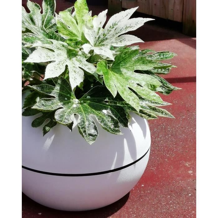 Bac à fleurs rond RIVIERA GRANIT BOULE - Plastique - Diamètre 50 cm - Blanc