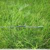 10pcs Plastic Tent Rope Tensioner Guyline Line Adjuster, Wind Buckle Carabiner, Camping, Hiking,