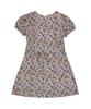 Cloet Antique Floral Mini Dress + Multi-Floral